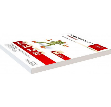 WHITE 100 Бумага A4/80г/м2/100л./белый матовое общего назначения(офисная) Creative - okulovka-experts.ru – фото 1