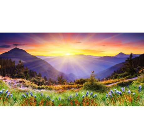 ЖК Doffler 24KH29 Doffler - okulovka-experts.ru – фото 1